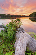 Central Pond Sunset #2 Photograph by Bryan Bzdula