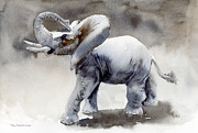 Elephant Light Study  Painting by Amy Kirkpatrick