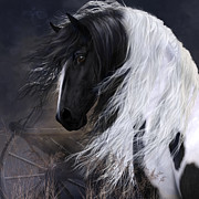 Gypsy Vanner #2 Digital Art by Shanina Conway