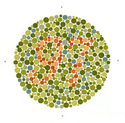 Ishihara Color Blindness Test #2 Photograph by Wellcome Images