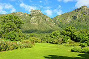 Kirstenbosch Botanical Garden #2 Photograph by Benny Marty Kirstenbosch Botanical Garden #2 Photograph by Benny Marty