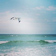 Peace #2 Photograph by Aleck Cartwright