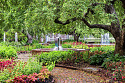 Prescott Park Flower Gardens Portsmouth New Hampshire #2 Photograph by Dawna Moore Photography
