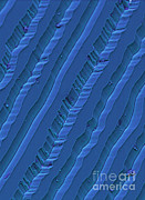 Record Grooves, Sem #2 Photograph by Ted Kinsman