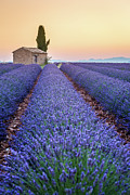Sunrise in Valensole #2 Photograph by Francesco Riccardo Iacomino