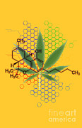 Tetrahydrocannabinol #2 Photograph by George Mattei