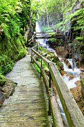 The Flume Gorge Lincoln New Hampshire #2 Photograph by Dawna Moore Photography