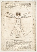 The Proportions of the human figure Painting by Leonardo Da Vinci