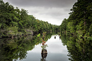 Tom Yawkey Wildlife Center #5 Photograph by David Oppenheimer