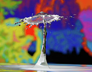 Water drops #2 Photograph by Colin Rayner