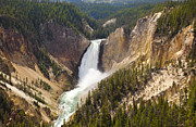 Yellowstone National Park #2 Photograph by Mark Smith