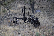 Old Farm Implement Lake George CO Photograph by Margarethe Binkley