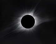 2017 Eclipse Totality Photograph by Dennis Sprinkle