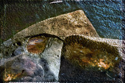 Untitled00sh Photograph by Paul Vitko