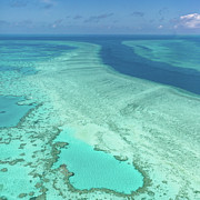 Great Barrier Reef, Australia #3 Photograph by Francesco Riccardo Iacomino