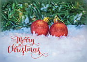 Merry Christmas #6 Photograph by Cathy Kovarik