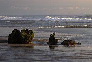 Nauset Light Beach, Eastham Photograph by Thomas Sweeney