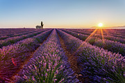 Sunrise in Valensole #3 Photograph by Francesco Riccardo Iacomino