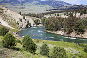 Yellowstone National Park #3 Photograph by Mark Smith