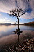 Loch Lomond Tree #3 Photograph by Grant Glendinning Loch Lomond Tree #3 Photograph by Grant Glendinning