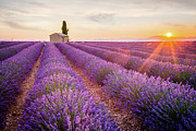 Sunrise in Valensole #4 Photograph by Francesco Riccardo Iacomino