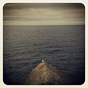 Instagram Photo #481486462325 Photograph by Rafa Rivas