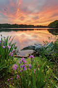 Central Pond Sunset #5 Photograph by Bryan Bzdula