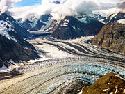 Denali National Park #5 Photograph by Benny Marty Denali National Park #5 Photograph by Benny Marty