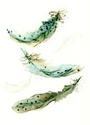 5 Feathers Painting by Dawn Derman