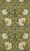 Pimpernel #1 Painting by William Morris Pimpernel #1 Painting by William Morris