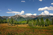 Rocky  Mountains #5 Photograph by Mark Smith