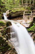Sabbaday Falls #5 Photograph by Dawna Moore Photography