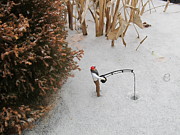 Toy Ice Fishing #5 Photograph by Digital Art Cafe