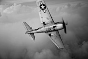 A Grumman F6f Hellcat Fighter Plane #6 Photograph by Scott Germain