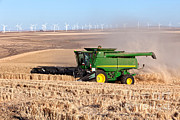 Combine Harvesting Wheat #6 Photograph by Inga Spence