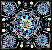 Diatoms #6 Photograph by M I Walker Diatoms #6 Photograph by M I Walker