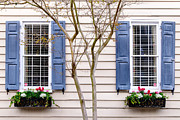 Windows of Charleston #6 Photograph by Dawna Moore Photography