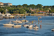 62- Hangin' at the Sandbar Photograph by Joseph Keane 62- Hangin' at the Sandbar Photograph by Joseph Keane