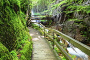 The Flume Gorge Lincoln New Hampshire #7 Photograph by Dawna Moore Photography
