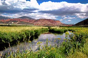 Capitol Reef National Park #720 Photograph by Mark Smith