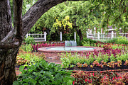 Prescott Park Flower Gardens Portsmouth New Hampshire #8 Photograph by Dawna Moore Photography