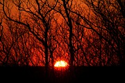 Sunsets #88 Photograph by Donn Ingemie