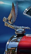 Hood Ornament #9 Photograph by Dean Ferreira