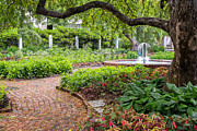 Prescott Park Flower Gardens Portsmouth New Hampshire #9 Photograph by Dawna Moore Photography
