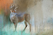 A Backwards Look Painting by Jai Johnson