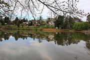 A Day of Reflections Photograph by Allen Nice-Webb