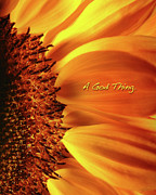 A God Thing-2 Photograph by Shevon Johnson