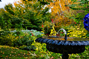 A Hanging Stream Photograph by Mike Smale