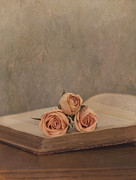 A Love Story Photograph by Kim Hojnacki