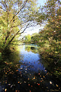 A Peaceful Afternoon Photograph by Trina Ansel A Peaceful Afternoon Photograph by Trina Ansel